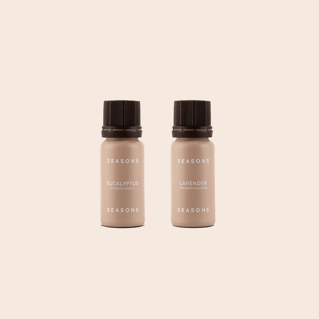 The Energizing Power of Eucalyptus: How to Use This Fresh Aroma Year-Round
